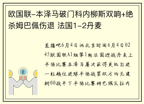 欧国联-本泽马破门科内柳斯双响+绝杀姆巴佩伤退 法国1-2丹麦